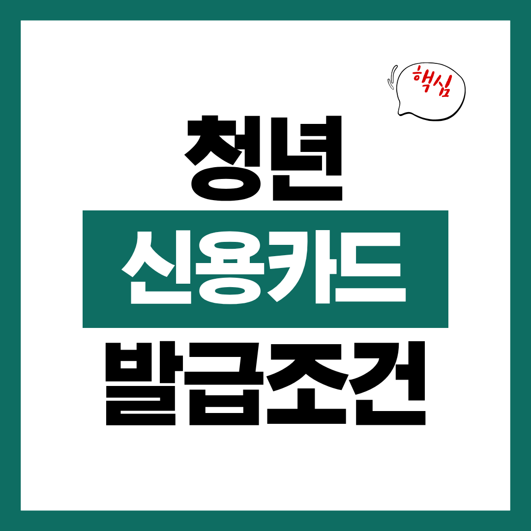 청년 신용카드 발급 조건과 정부지원 연계 신용카드 정책에 대해 알아보고 바로 신청하기