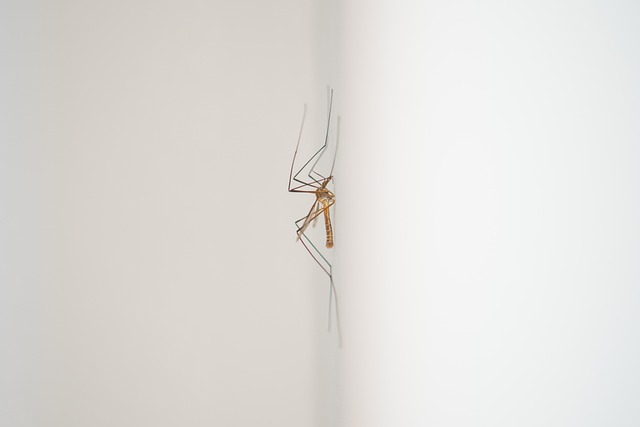 아기 모기 알러지증상(스키터증후군) 및 두드러기 챔프 알러논