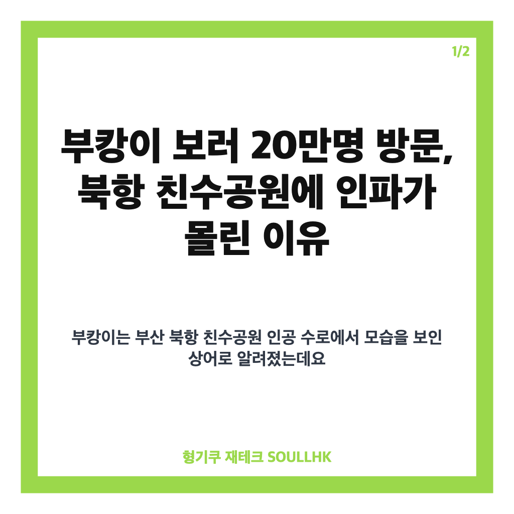 부캉이 보러 20만명 방문, 추석 연휴 북항 친수공원에 몰린 인파 카드뉴스 1