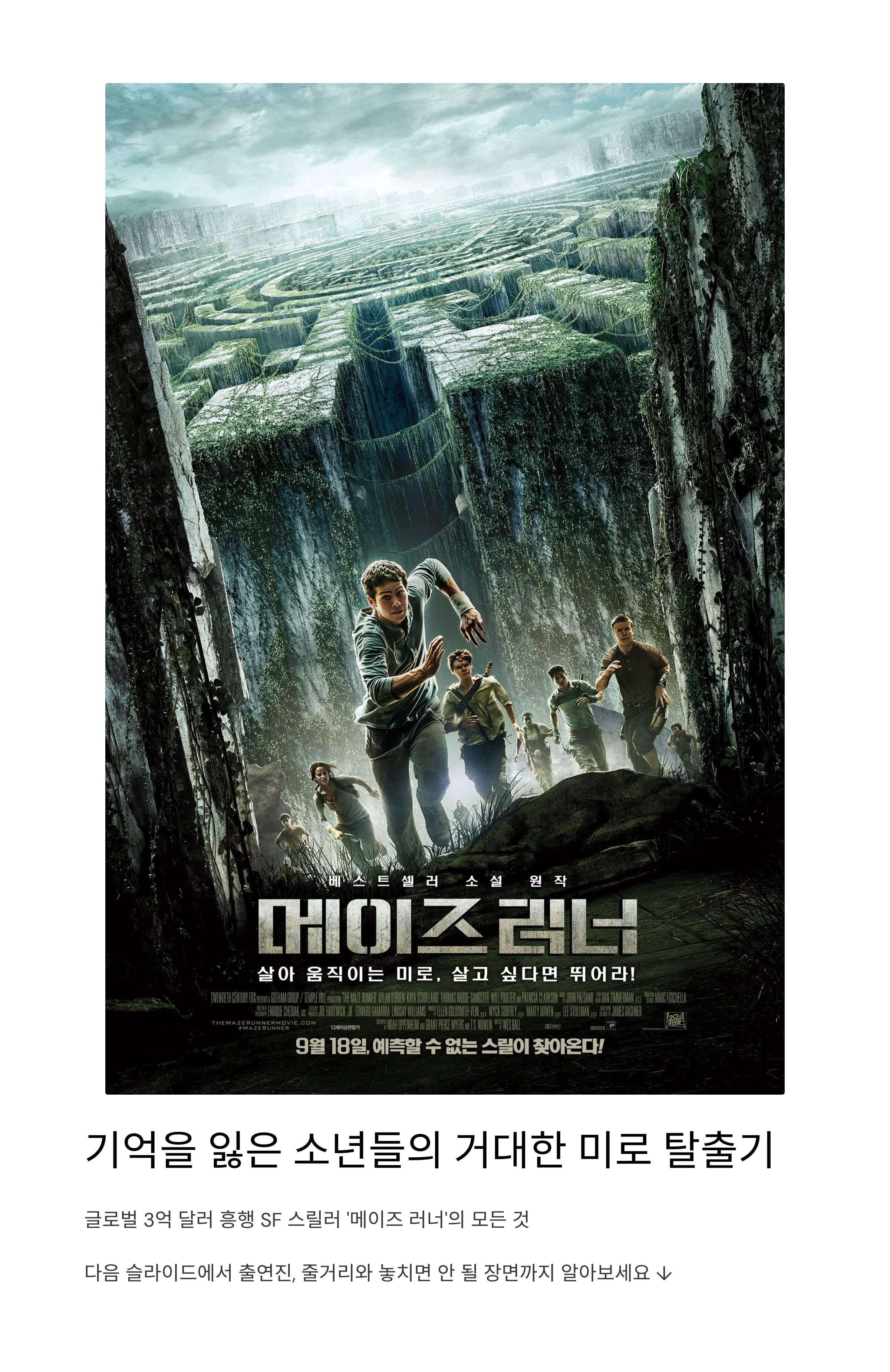 메이즈러너 영화 포스터 관련 사진