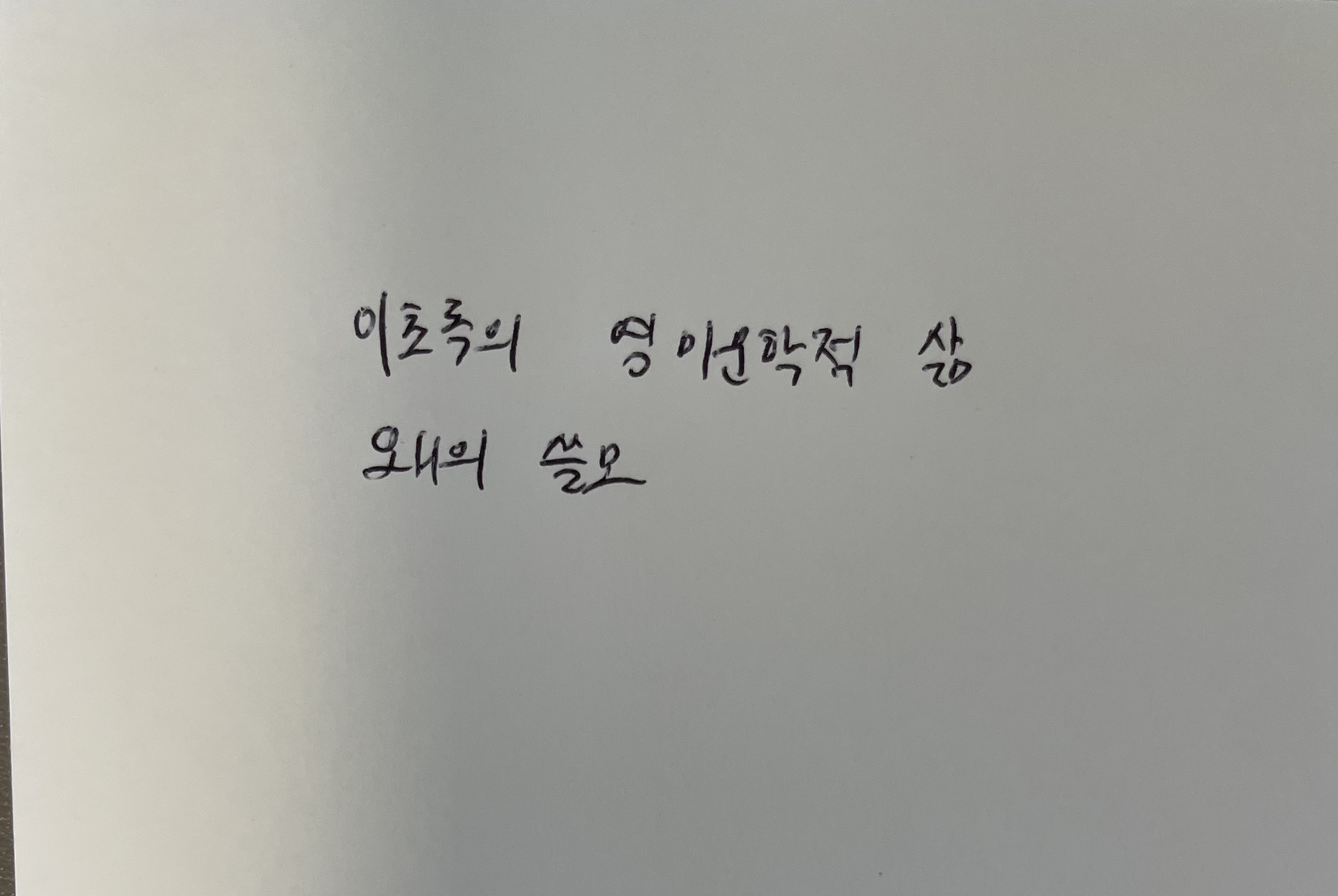 이초록의 영미문학적 삶- 왜의 쓸모 비 마이 비 손글씨