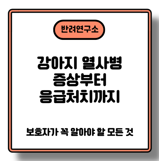 강아지 열사병 증상부터 응급처치까지, 보호자가 꼭 알아야 할 모든 것