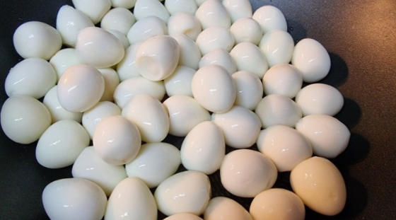 비타민 A 의 종류와 종류별 효능(역할) 그리고 부족시 증상과 과잉시 부작용