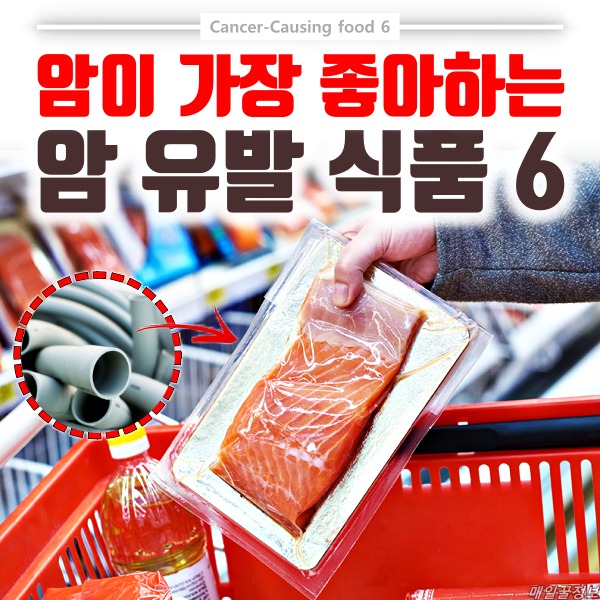 암이 좋아하는 음식,암유발 음식