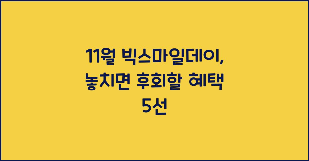 11월 빅스마일데이