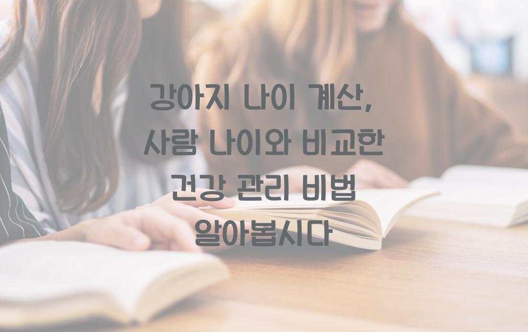 강아지 나이 계산: 사람 나이와 비교한 노화 관리법