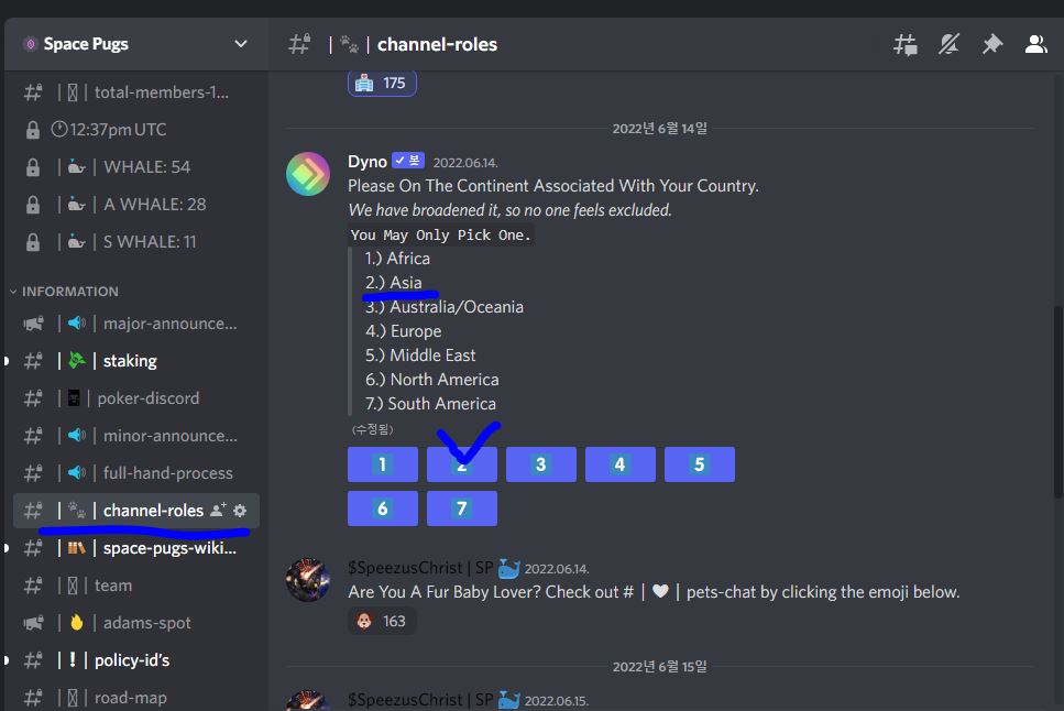 스페이스퍼그-아시아 롤