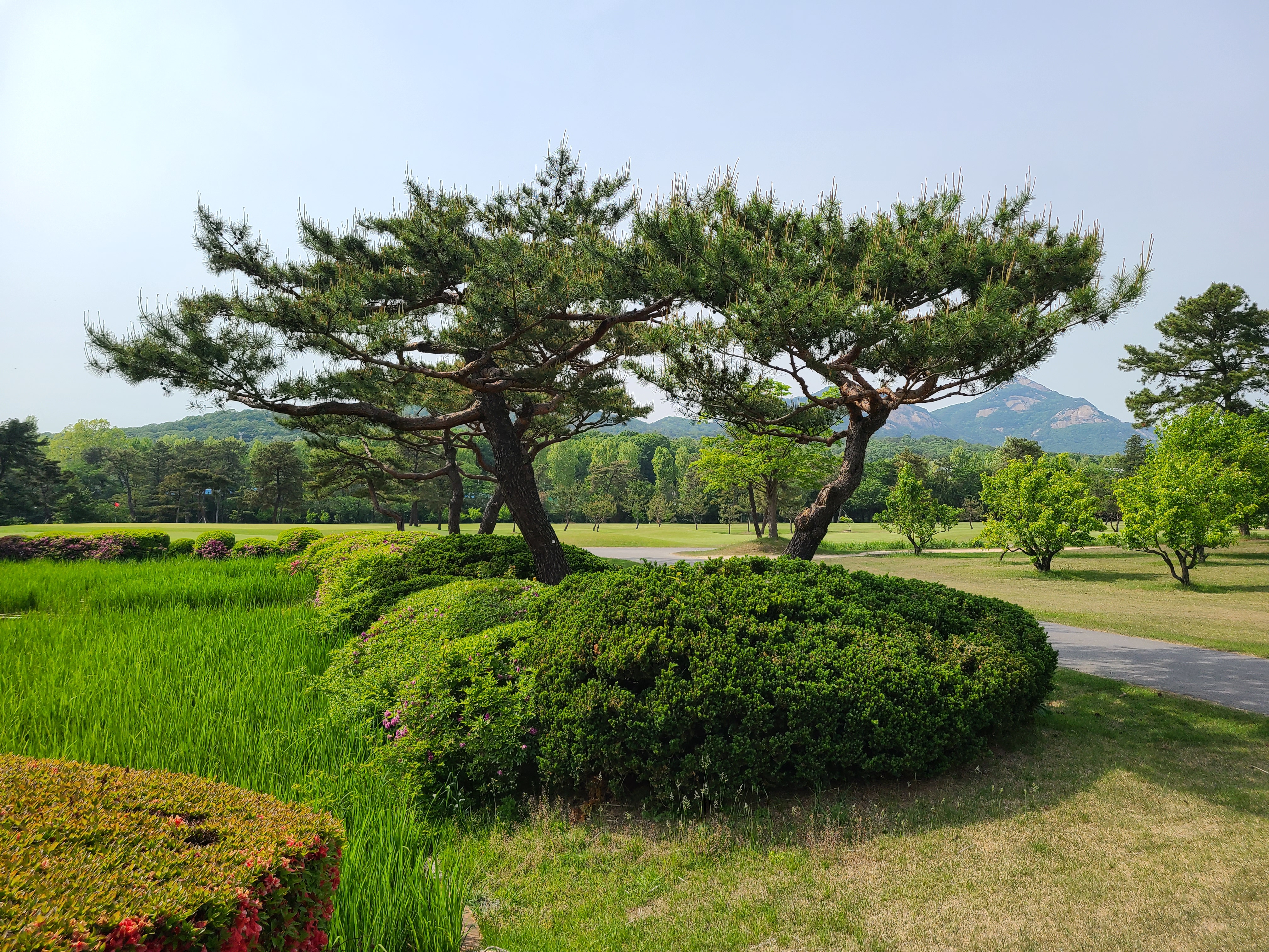 태릉CC 경치