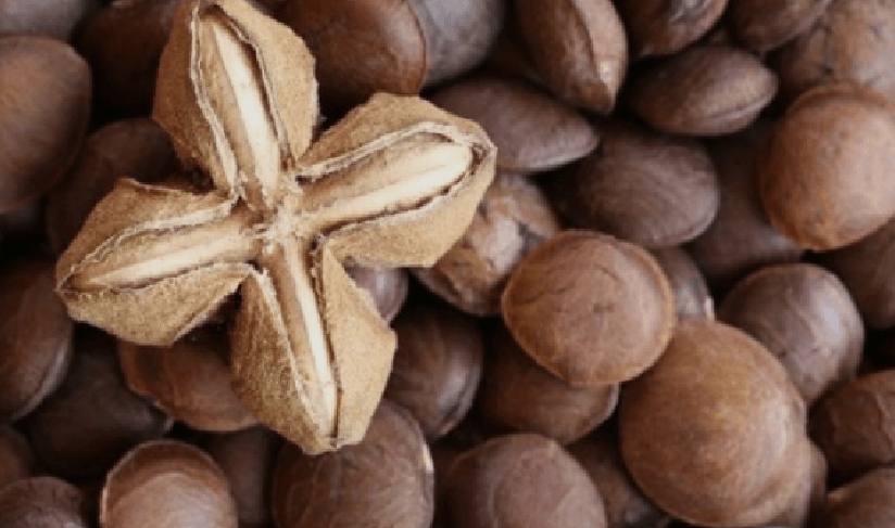 사차인치 효능 - 3