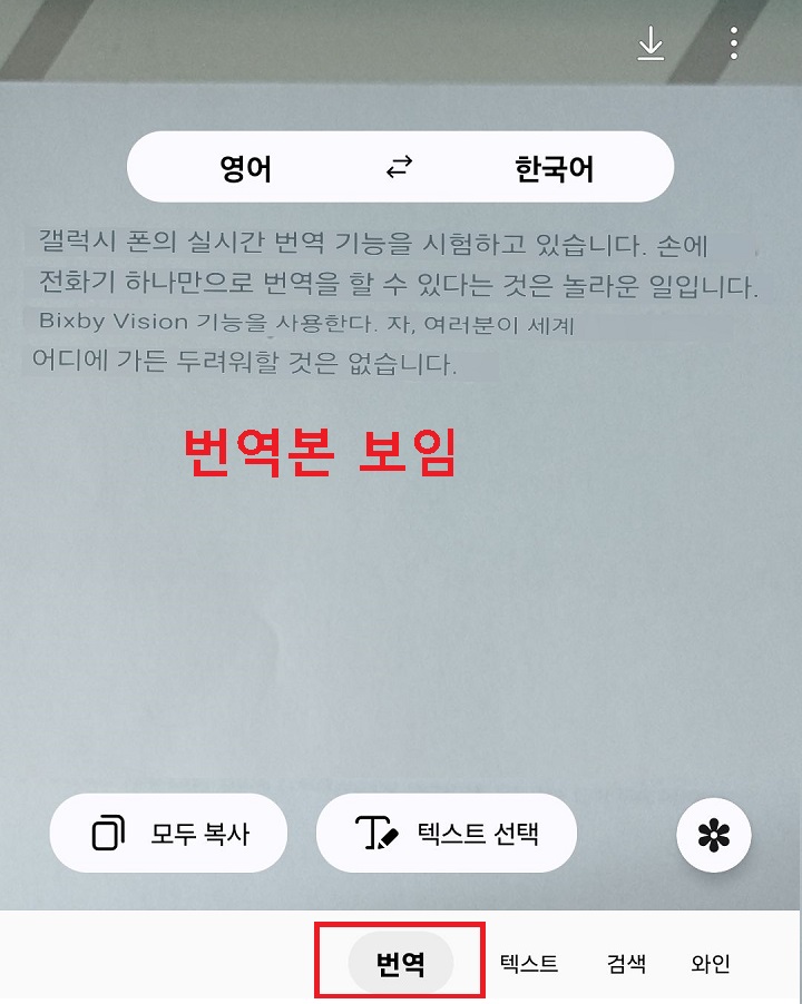 번역본 보임