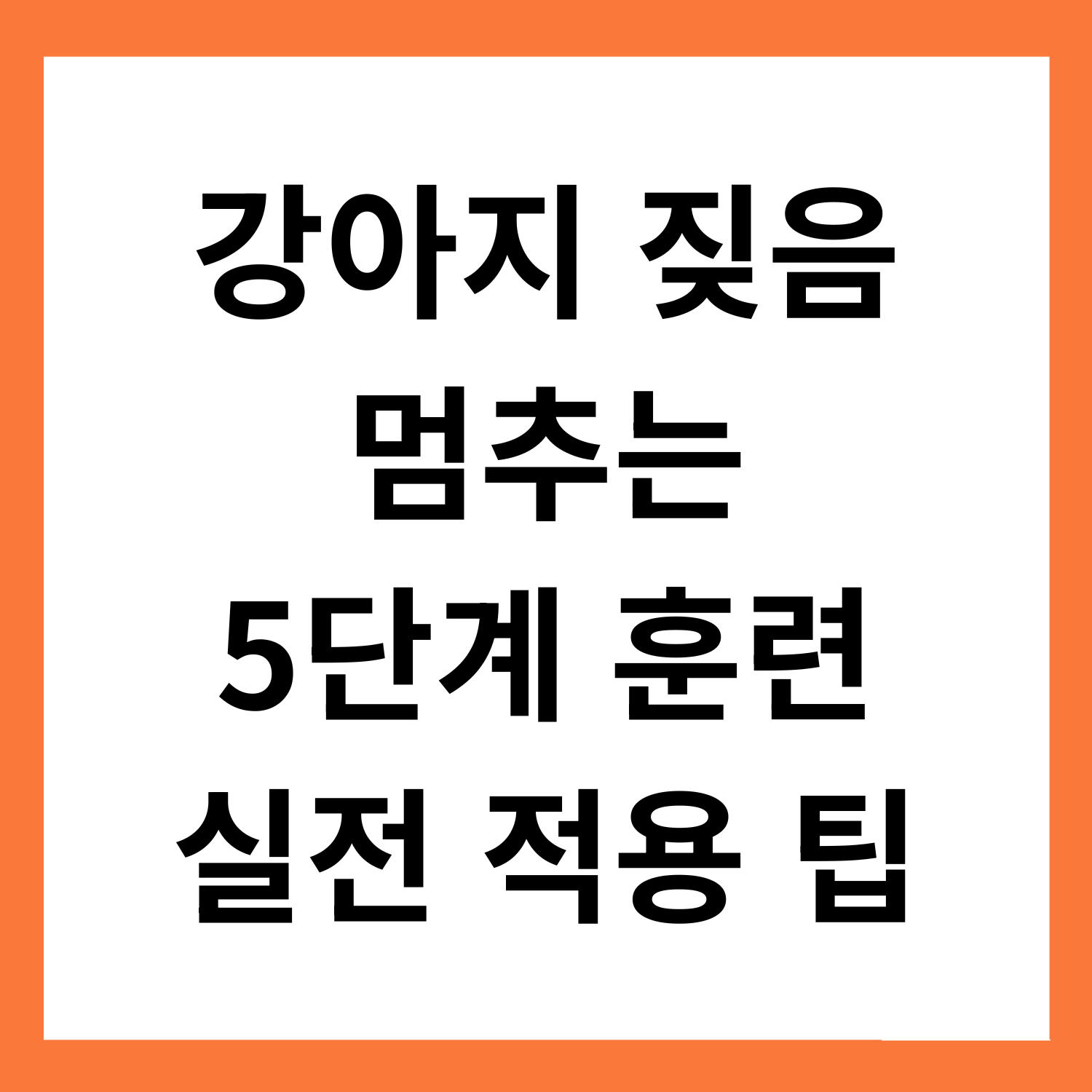 강아지 짖음 멈추는 5단계 훈련 루틴 (실전 적용 팁)