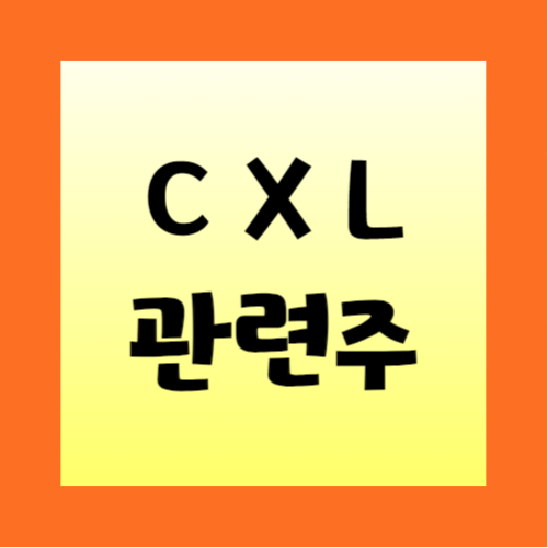 CXL-관련주-정리