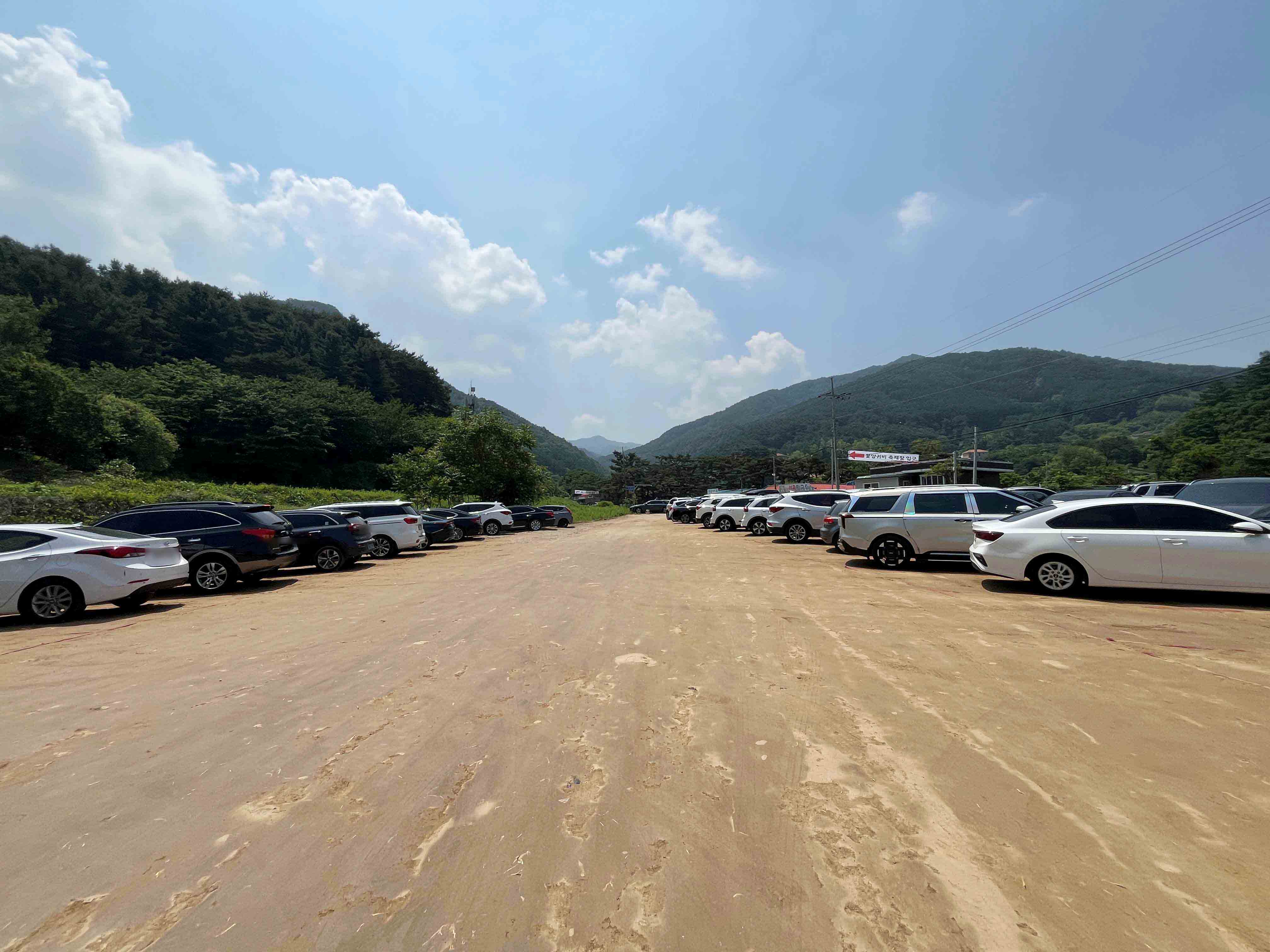 용수골 꽃양귀비 축제 