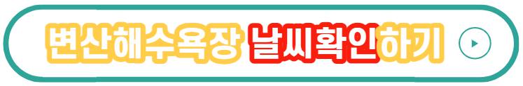 부안 워터페스티벌