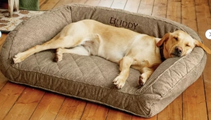 Orvis Memory Foam Bolster Dog Bed