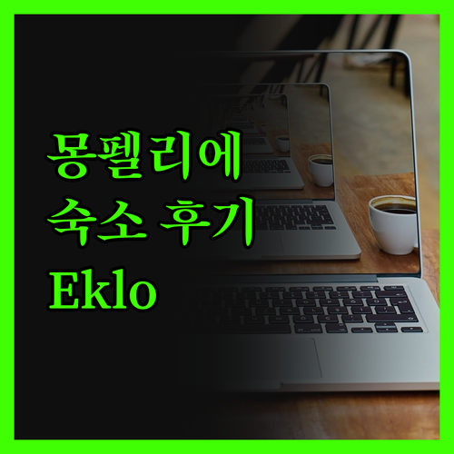몽펠리에 숙소, 솔직 후기! Eklo