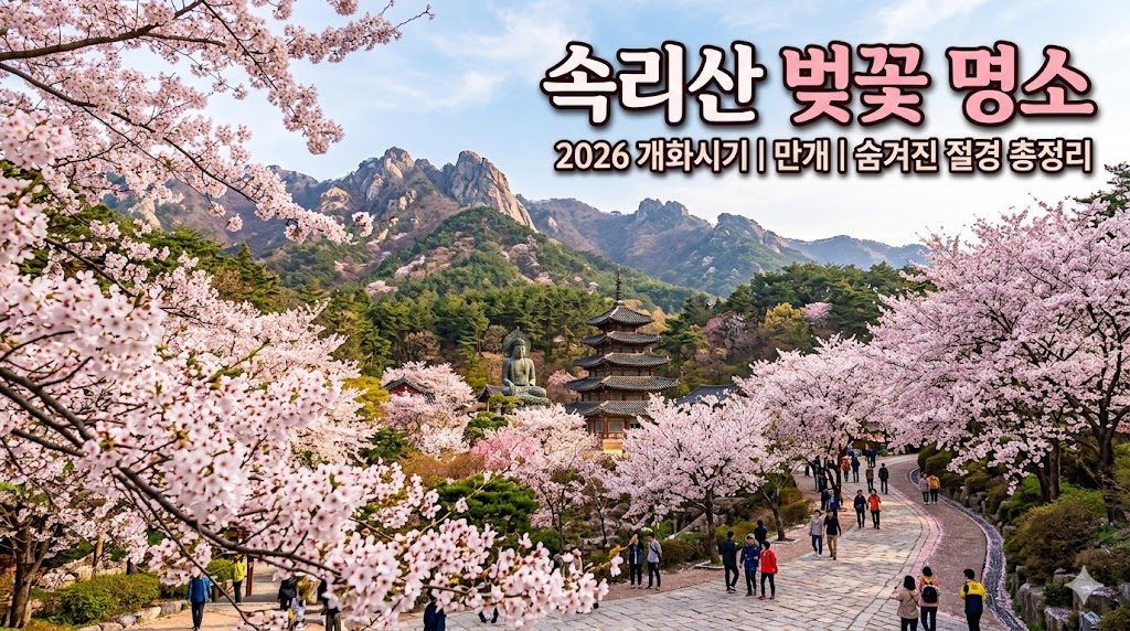 속리산 벚꽃 명소