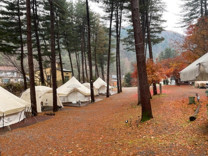 가평 리틀포레스트 캠핑&middot;글램핑 관련 사진