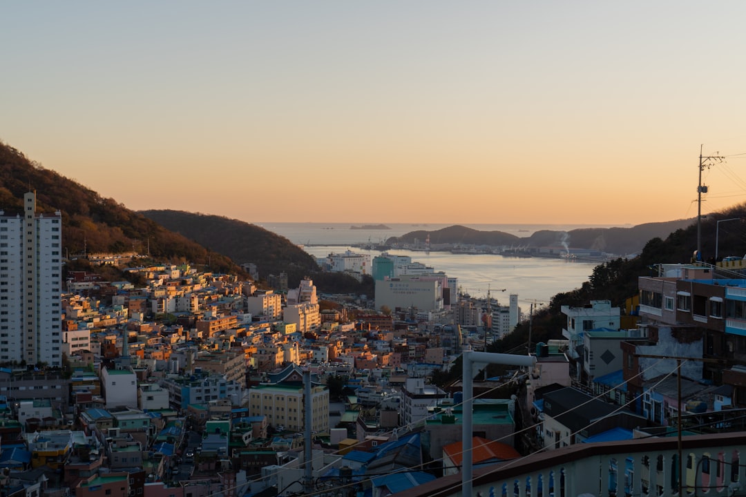 Busan Law Firm