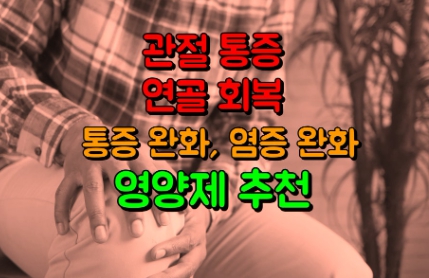 난각막가수분해물 효능
