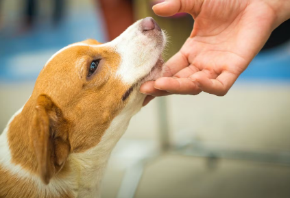 스킨십을 하는 습관