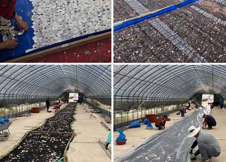 6시내고향-해남-완도-곱창김