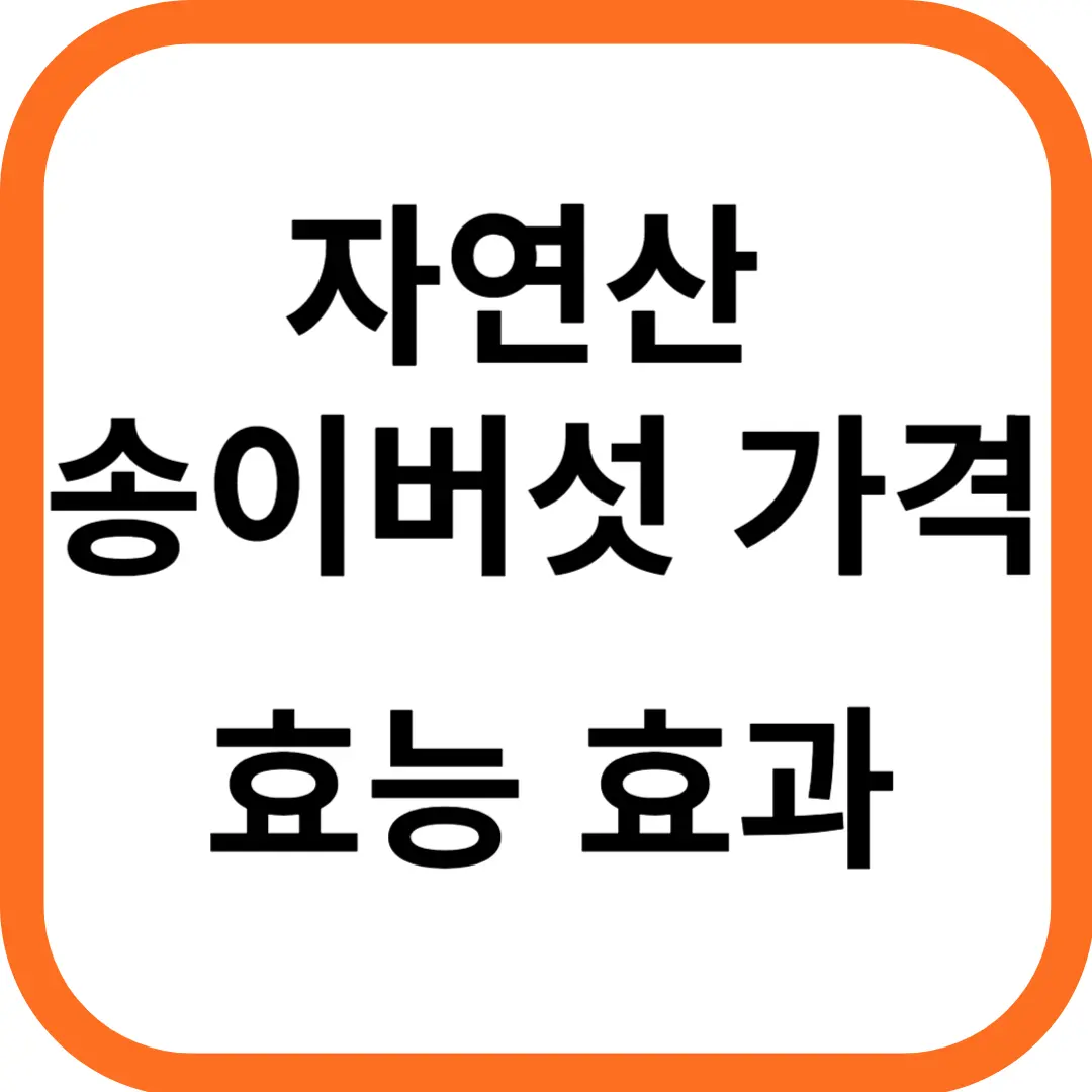 자연산 송이버섯 가격 및 시세, 효능 효과