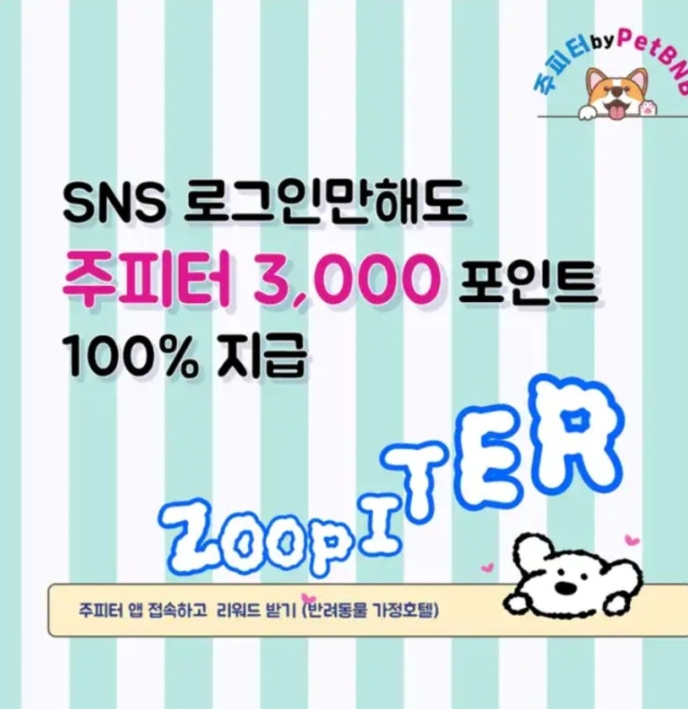 주피터 캐시워크 8월 21일 정답 반려동물 맡길 곳을 찾는다면? ㄷㄴ