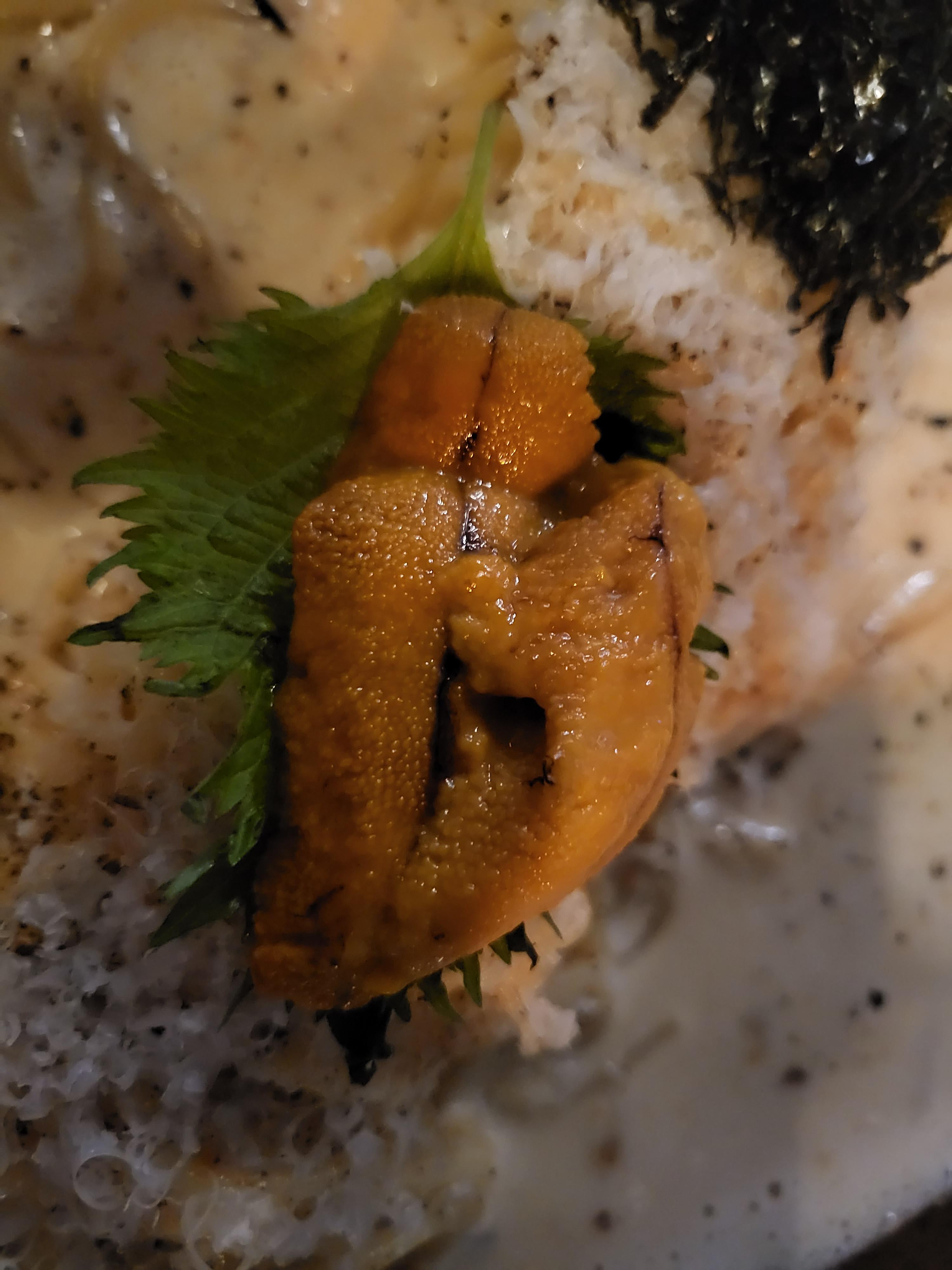 우니 크림파스타에 들어있는 신선한 우니