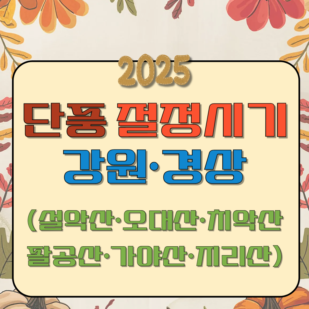 2025년 단풍 절정 시기 &ndash; 강원&middot;경상 단풍 명소(설악산&middot;오대산&middot;치악산&middot;팔공산&middot;가야산&middot;지리산)이미지