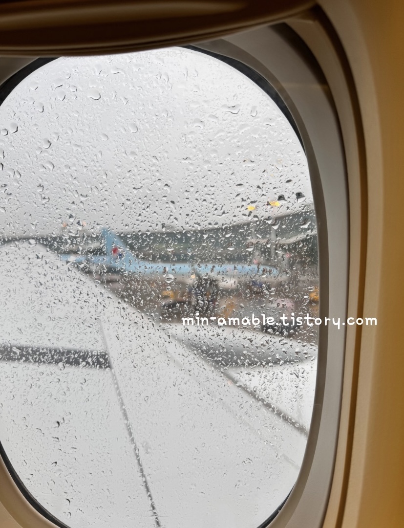 마닐라행대한항공