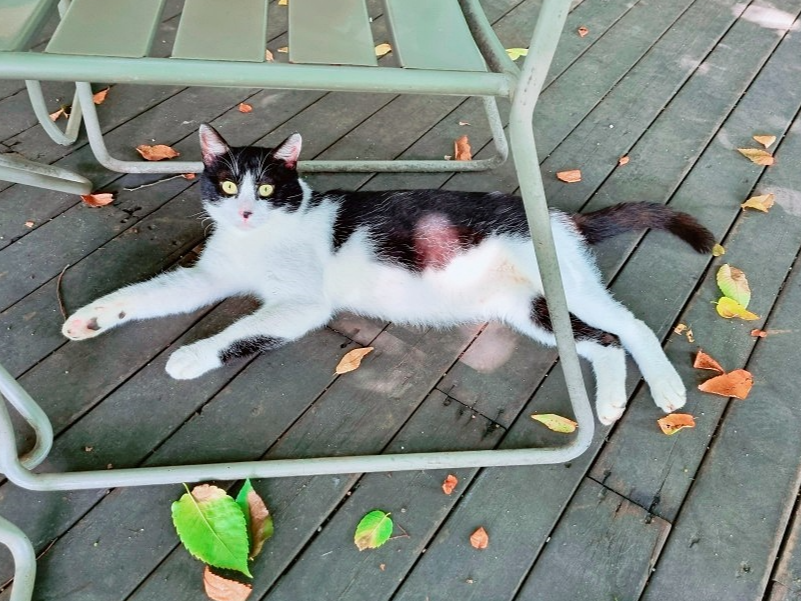 서울근교 계곡 추천: 송추계곡 맛집&amp;#44; 자연을 담은 양주 헤세의 정원