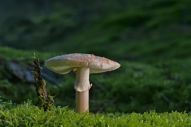진주 여행코스 추천 진주성 포함한 하루 여행 일정 정리_3