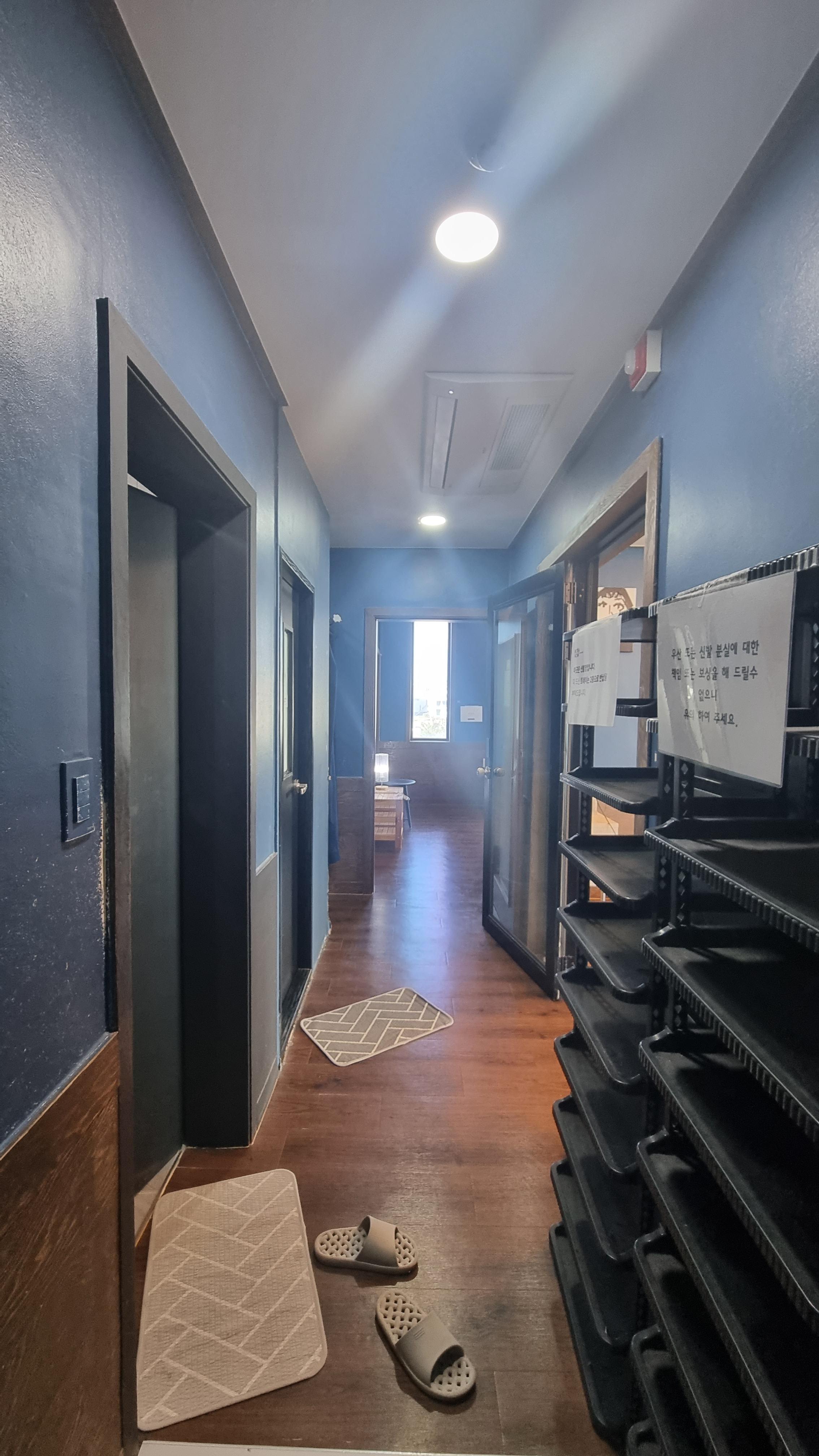 강릉 보사노바 - 카페 거리 카페 추천 애견 카페 안목 해변 가을 여행