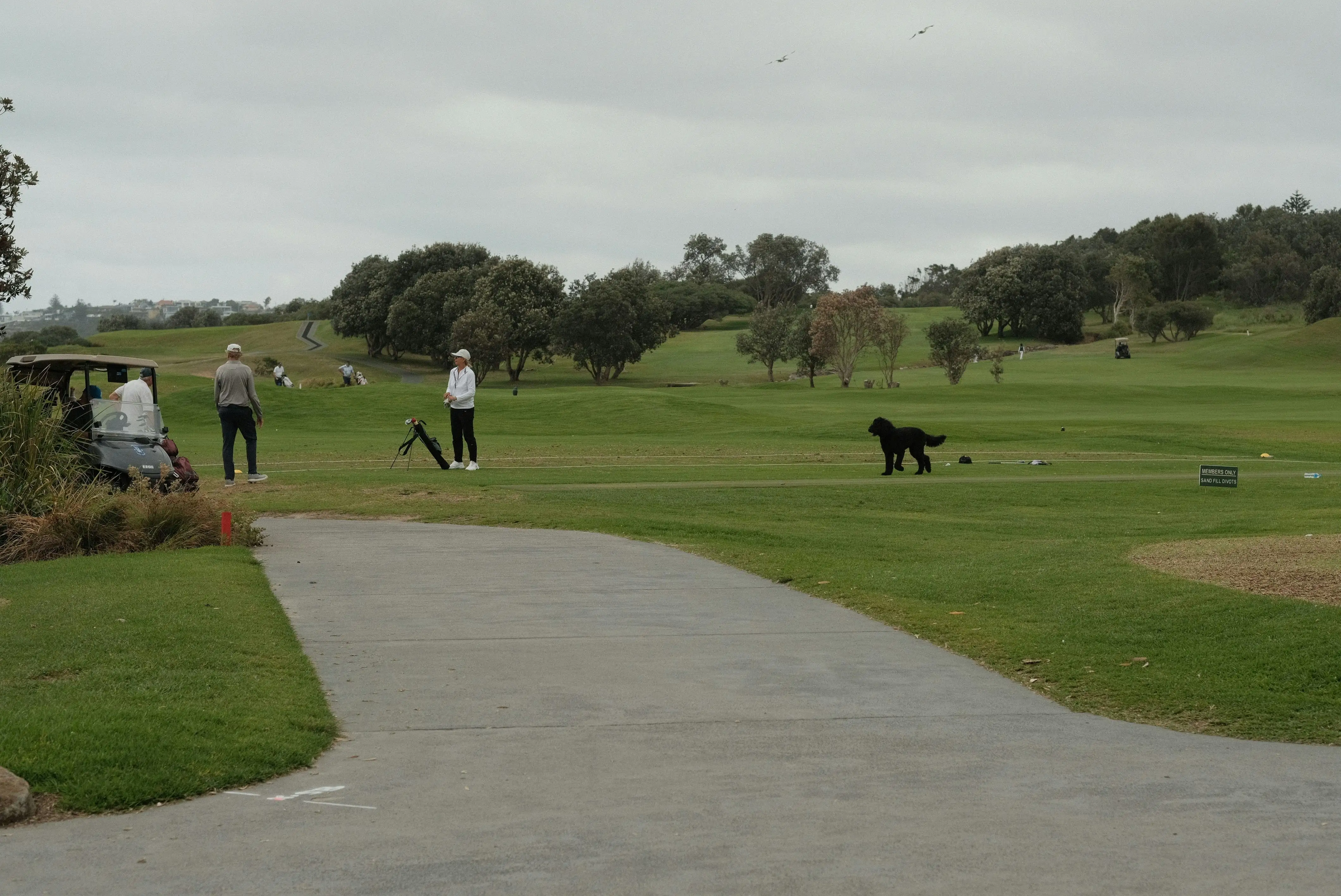 생거진천-파크골프장