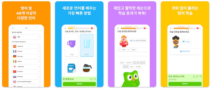 듀오링고앱 기능