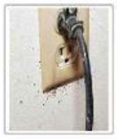 빈대 확인법 빈대 물린 자국 빈대 퇴치(+2024)