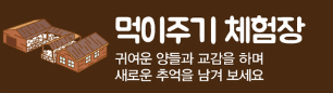 양떼목장