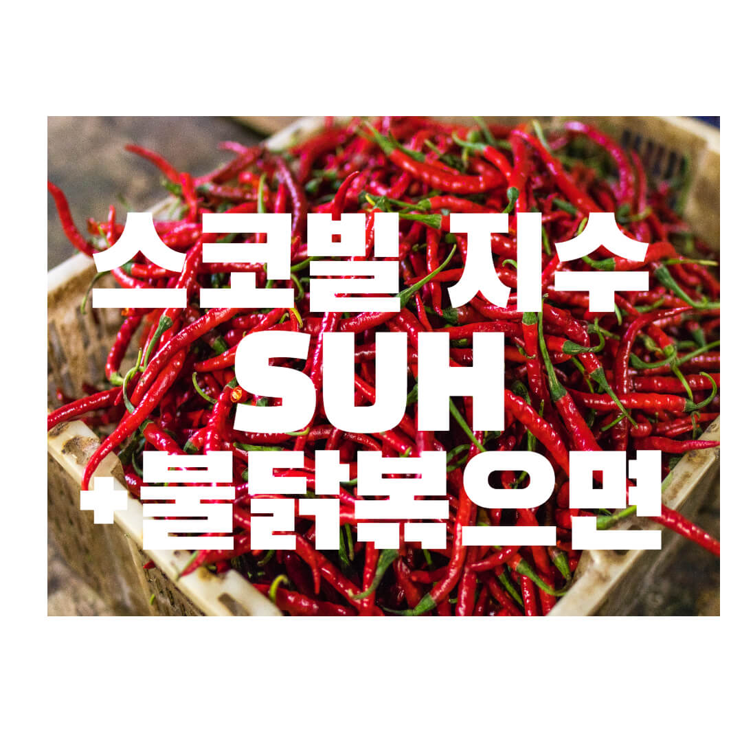 스코빌 지수