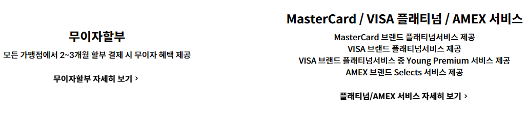 마스터카드 비자카드 아멕스카드