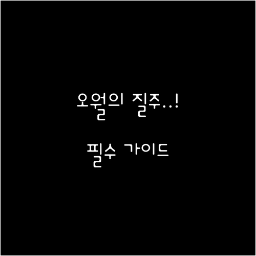 광주 오월 정신을 기리는 518 마라..