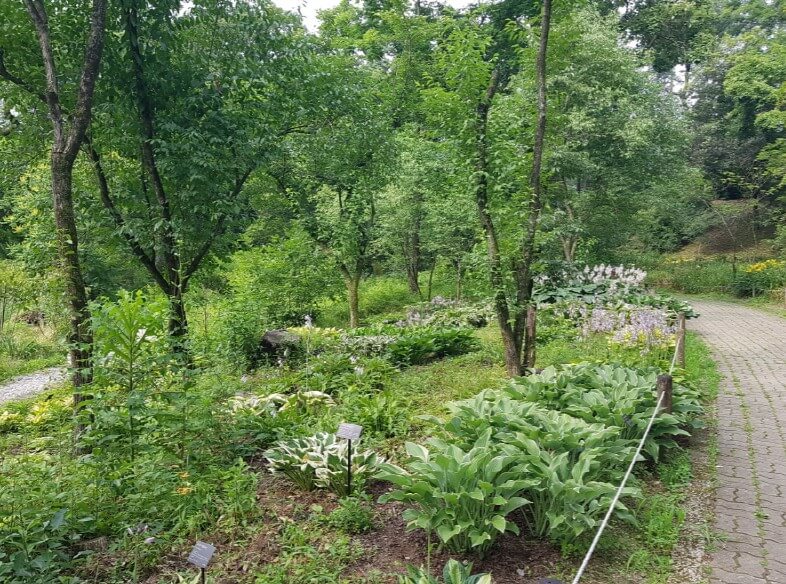 포천 광릉수목원! 숨겨진 힐링 명소, 포천 광릉수목원 완전 정복