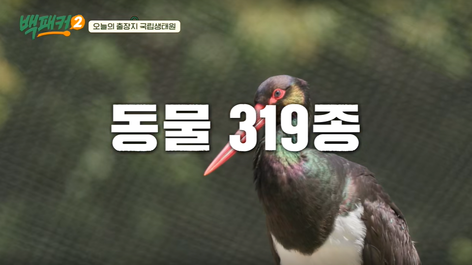 서천 국립생태원 예약 입장료 숙소 맛집