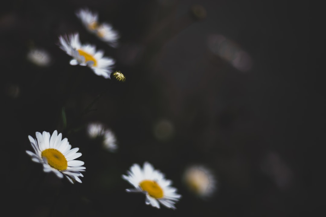 Effects