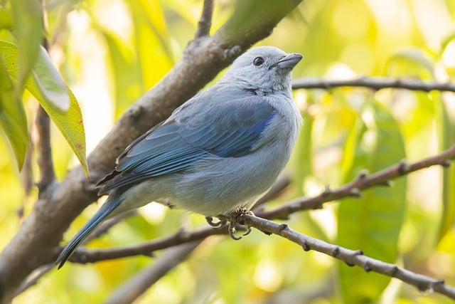 윤도현 노래 : 너를 보내고