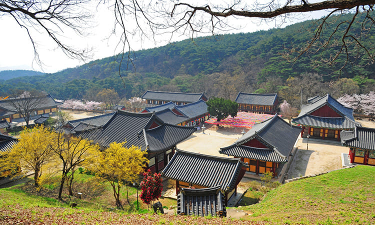 은해사