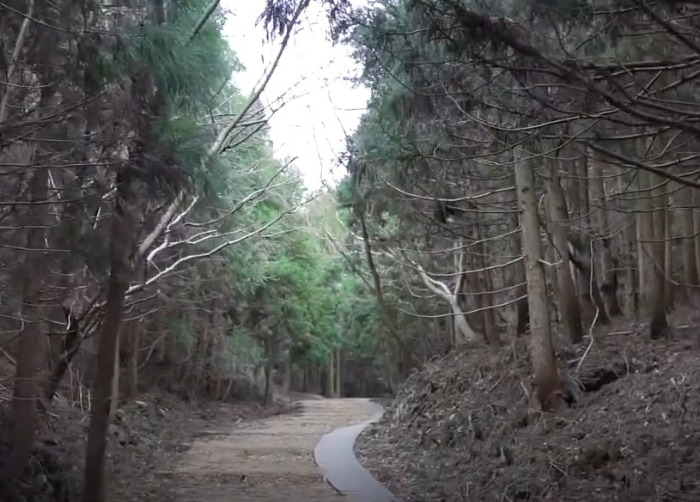 거문오름 산책길