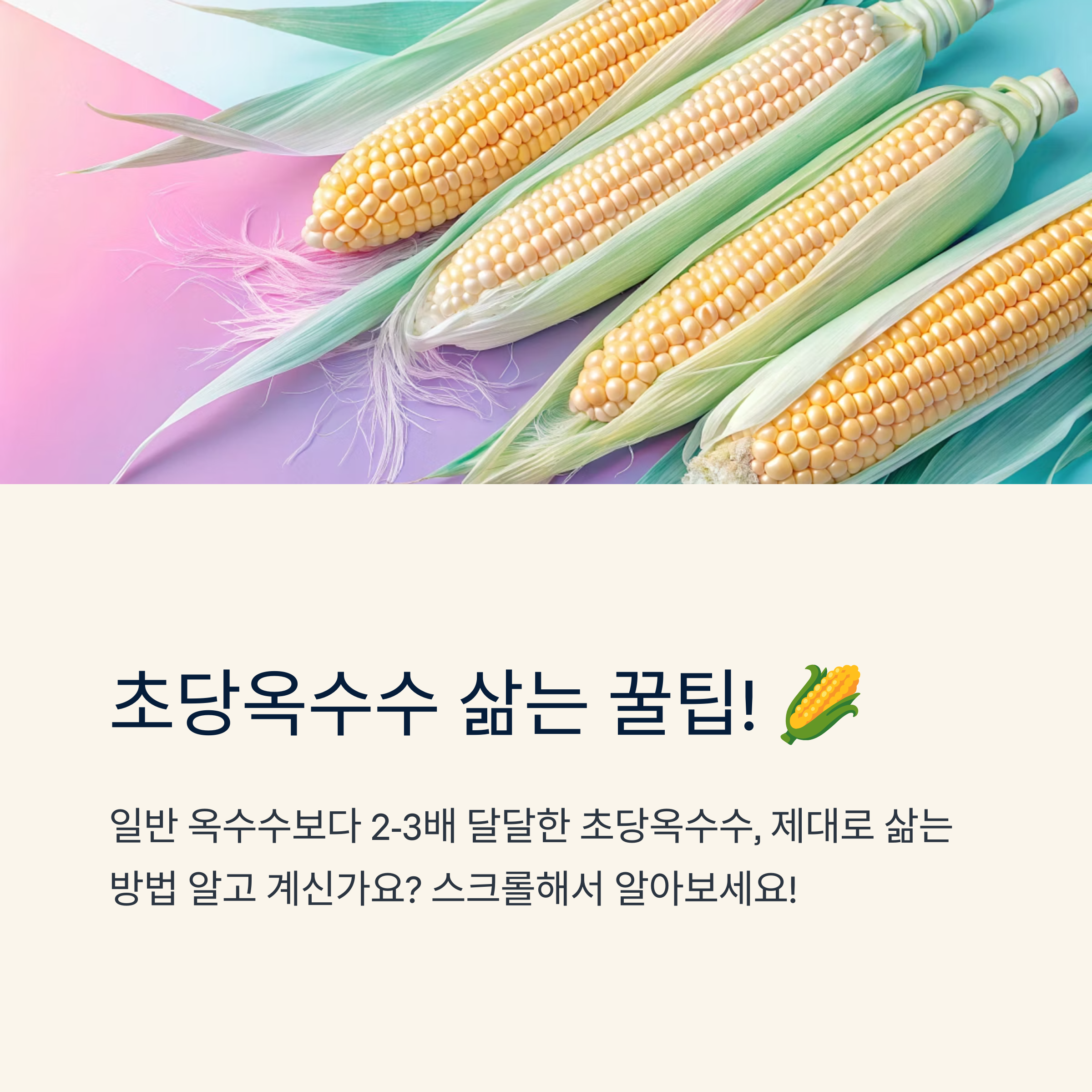 초당옥수수 삶는법 꿀맛 비결 총정리