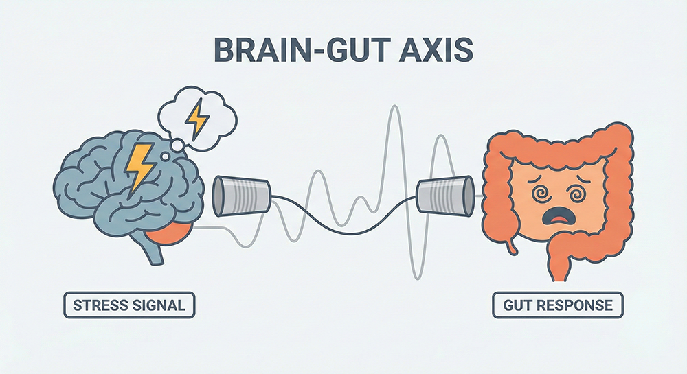 장뇌축, 장건강, 장스트레스, 장과뇌