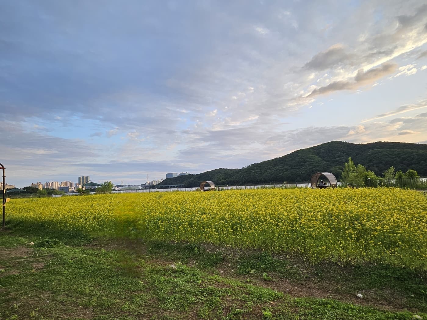 용인 기흥호수 뷰 좋은 카페 추천:호수 옆 힐링 스팟 &lsquo;호수앉기&rsquo; 카페 방문기